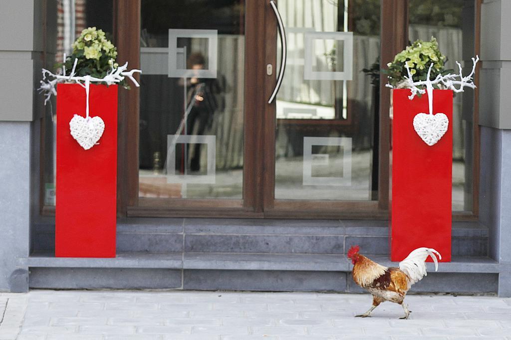 B&B Rouge E Blanc Meulebeke ภายนอก รูปภาพ